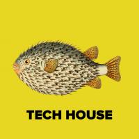 TechHouse 2017
